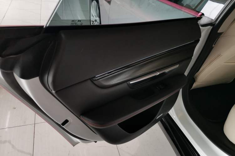 Used XPeng P7 2020 670E Left Rear Door Interior