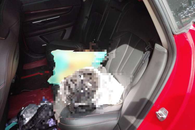 Used XPeng P7 2020 670E Left Rear Seat