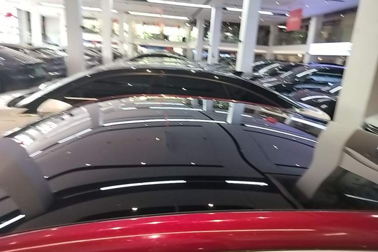 Used XPeng P7 2020 670N Roof