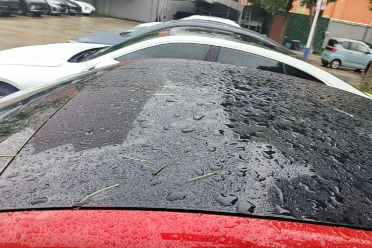 Used XPeng P7 2020 670N Roof