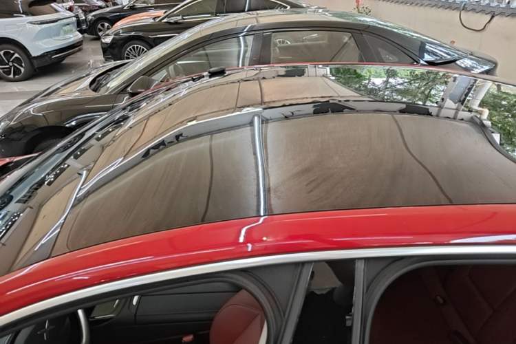 Used XPeng P7 2020 670E Roof
