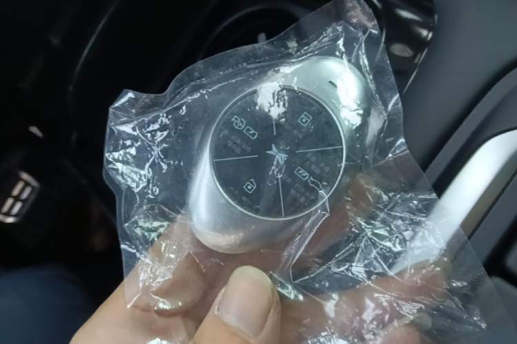 Used XPeng P7 2020 586N Vehicle Key