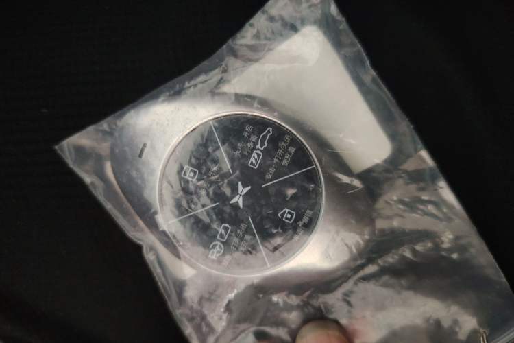 Used XPeng P7 2020 586N Vehicle Key