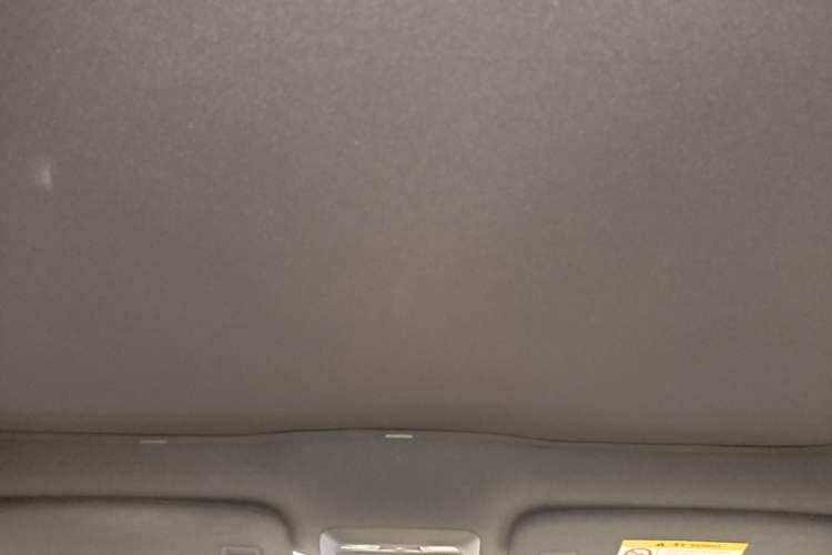 Used XPeng P7 2020 586N Headliner