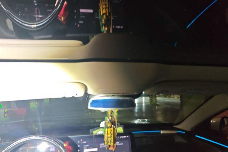 Used XPeng P7 2020 586E Headliner