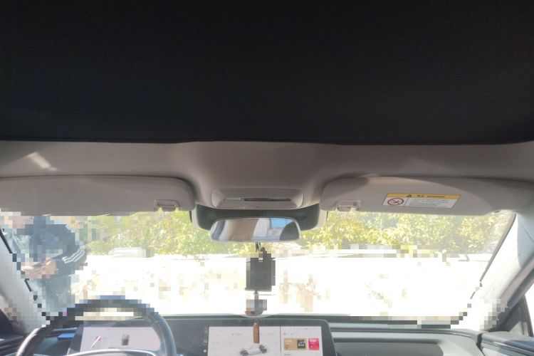 Used XPeng P7 2020 670E Headliner