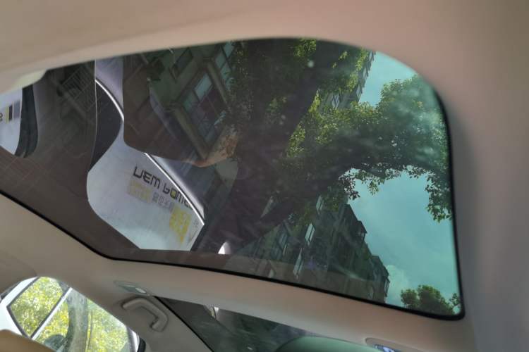 Used XPeng P7 2020 706G Headliner