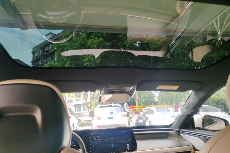Used XPeng P7 2020 586N Headliner