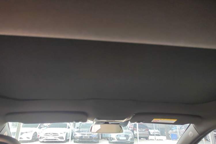 Used XPeng P7 2020 670N Headliner