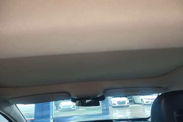 Used XPeng P7 2020 586E Headliner