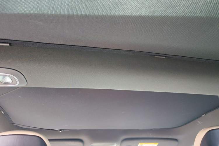 Used XPeng P7 2020 Rear-Drive Long-Range Smart Drive Version Headliner