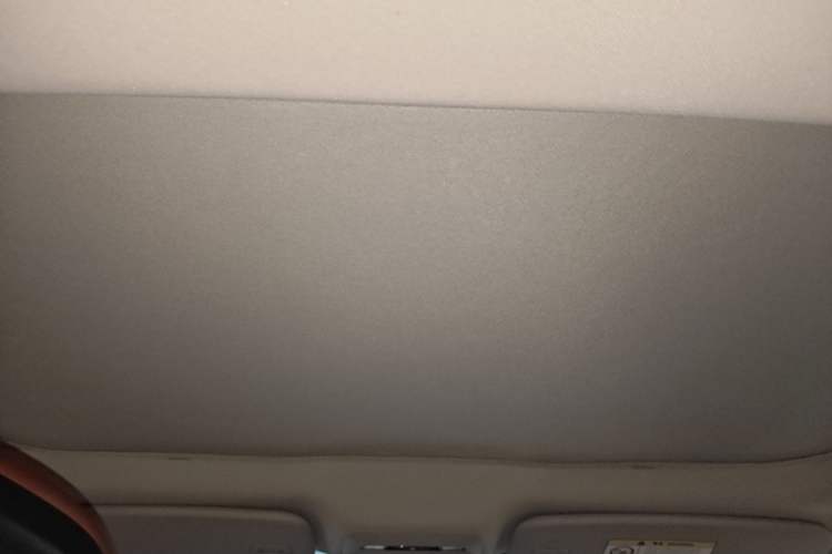 Used XPeng P7 2020 670N Headliner