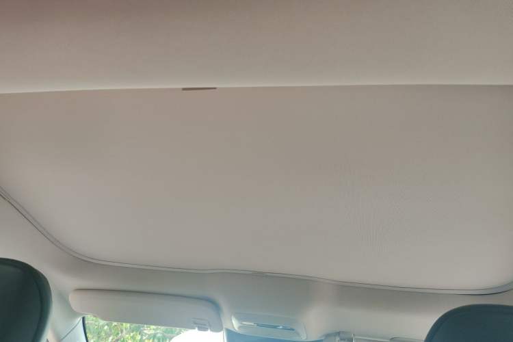Used XPeng P7 2020 670E Headliner