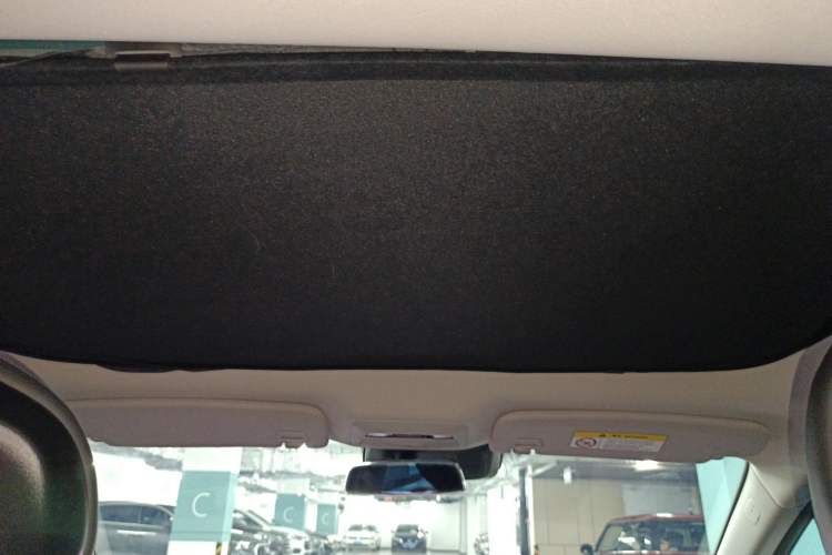 Used XPeng P7 2020 670N Headliner