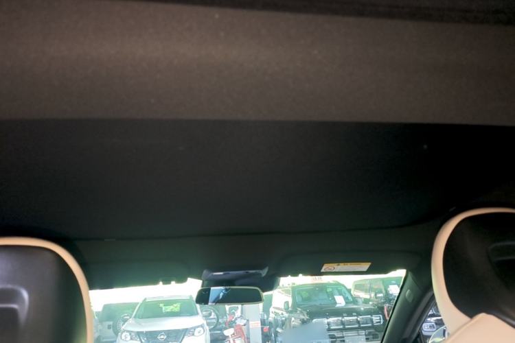 Used XPeng P7 2020 670N Headliner