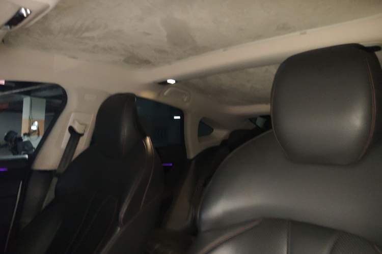 Used XPeng P7 2020 670N Headliner
