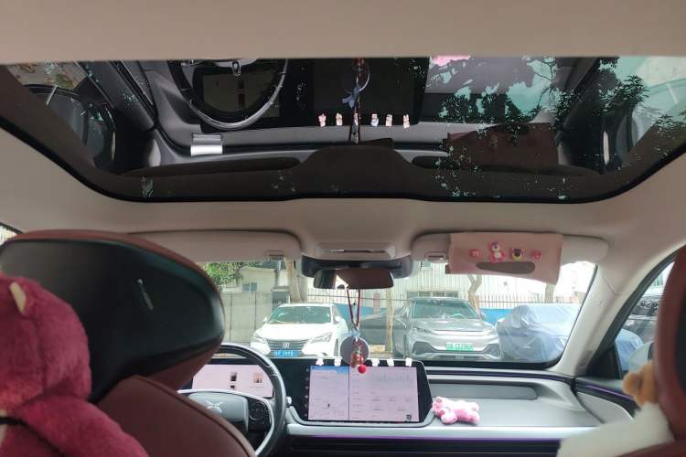 Used XPeng P7 2020 586E Headliner