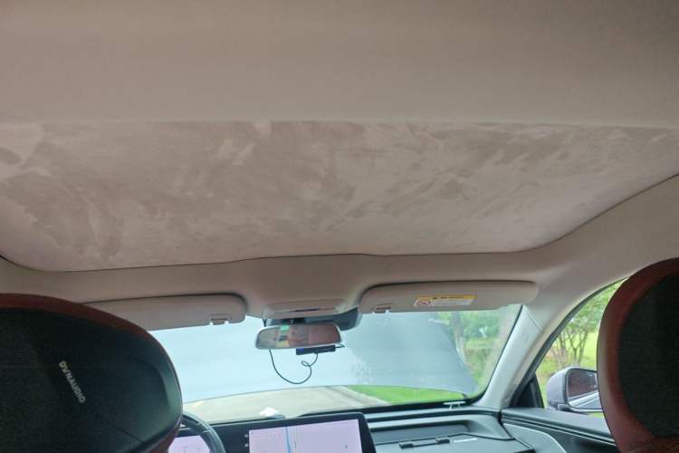Used XPeng P7 2020 670N Headliner