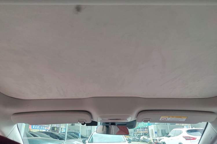 Used XPeng P7 2020 670N Headliner