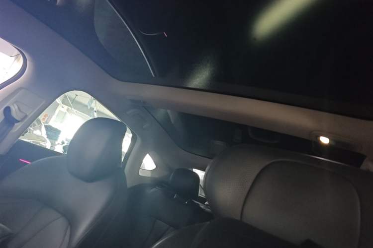 Used XPeng P7 2020 586E Headliner