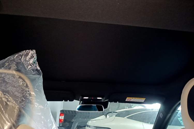 Used XPeng P7 2020 586N Headliner