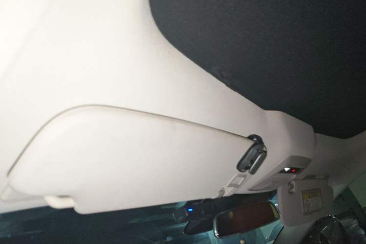Used XPeng P7 2020 670N Headliner