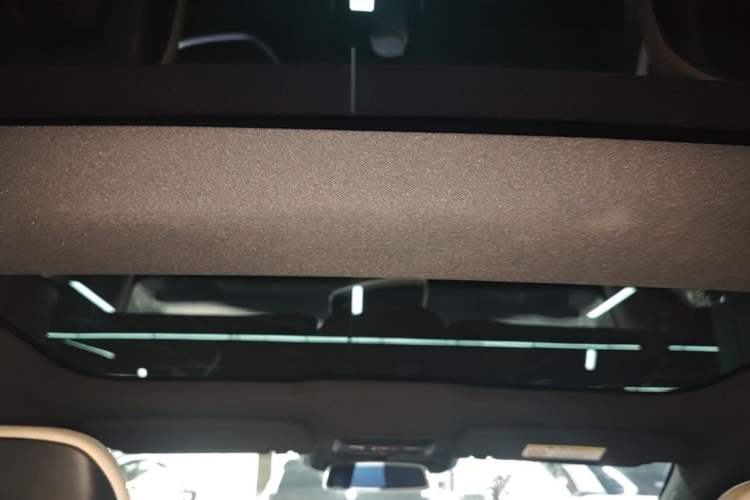 Used XPeng P7 2020 670E Headliner