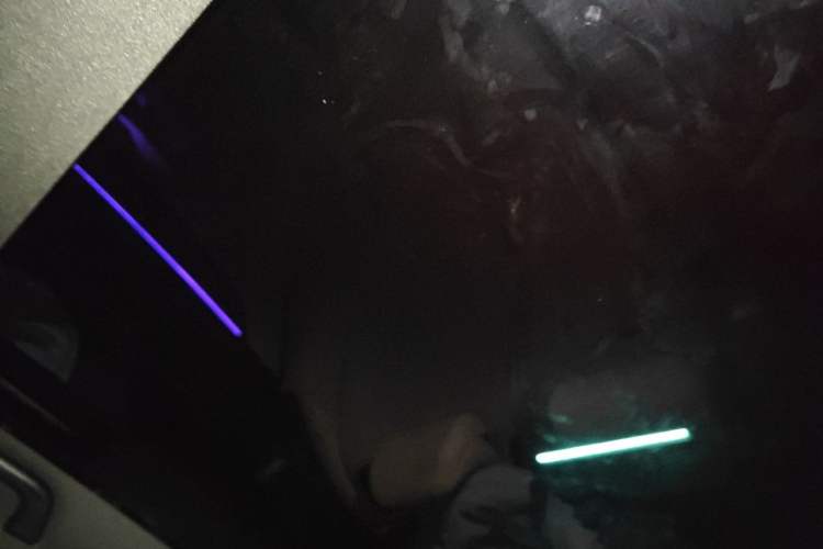 Used XPeng P7 2020 670E Headliner