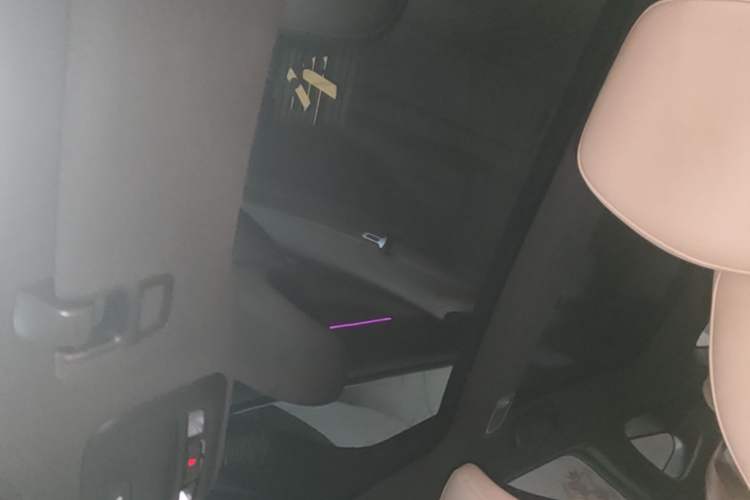 Used XPeng P7 2020 706G Headliner