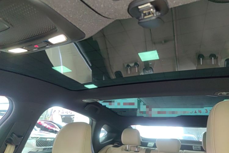 Used XPeng P7 2020 586E Headliner