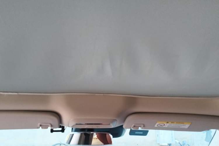 Used XPeng P7 2020 670N Headliner