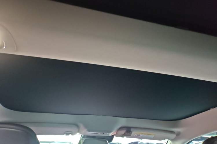 Used XPeng P7 2020 586N Headliner
