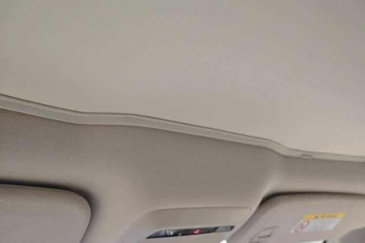 Used XPeng P7 2020 670N Headliner