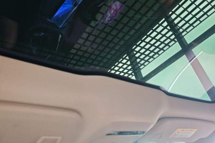 Used XPeng P7 2020 586N Headliner
