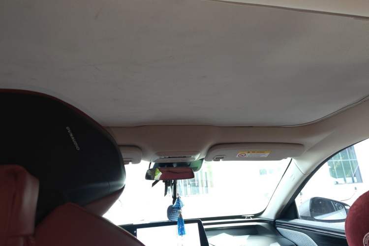 Used XPeng P7 2020 670N Headliner