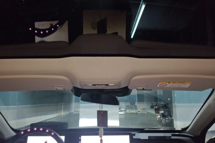 Used XPeng P7 2020 670E Headliner