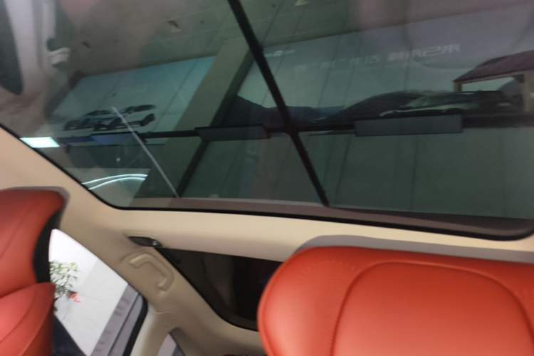 Used XPeng P7 2020 670N Headliner