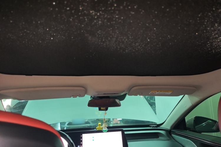 Used XPeng P7 2020 670N Headliner