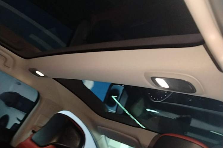 Used XPeng P7 2020 670E Headliner