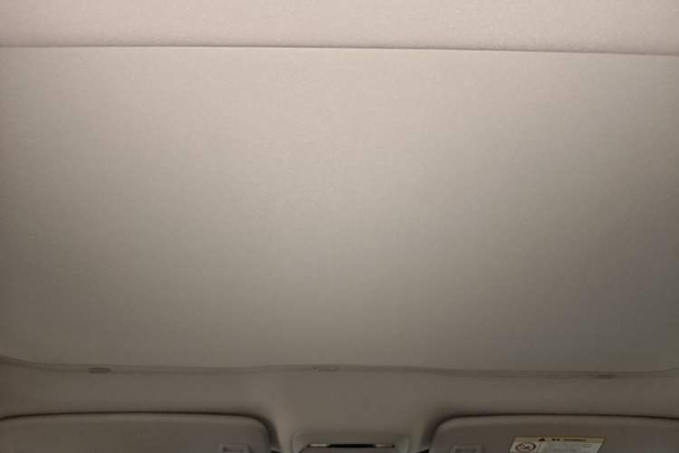 Used XPeng P7 2020 670E Headliner