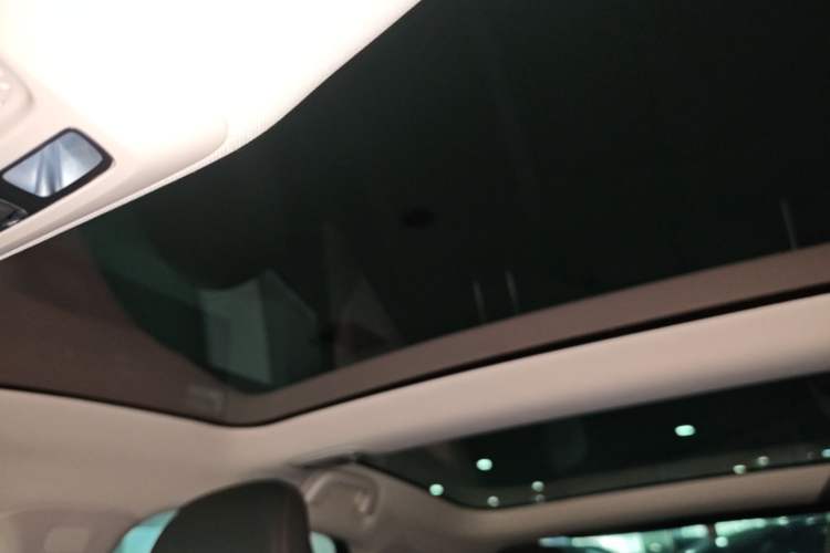 Used XPeng P7 2020 670E Headliner