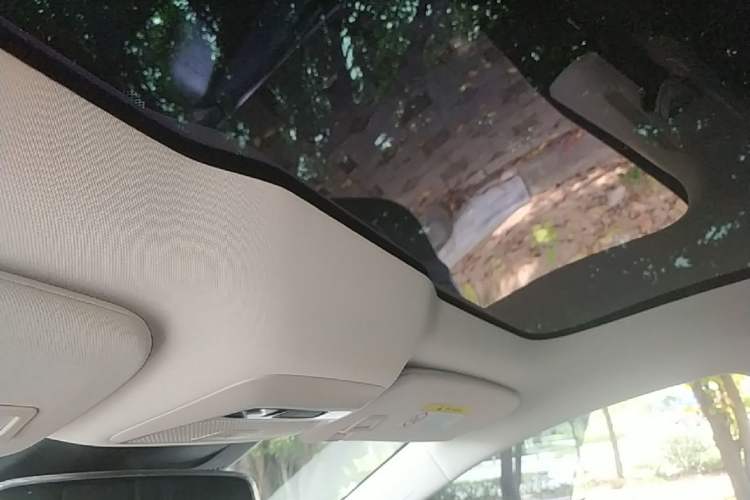 Used XPeng P7 2020 586N Headliner