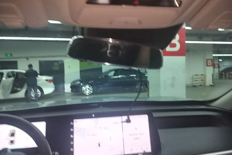 Used XPeng P7 2020 670N Headliner