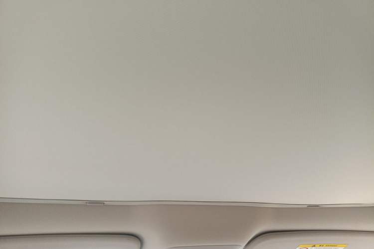 Used XPeng P7 2020 670N Headliner
