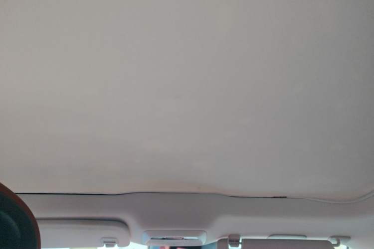 Used XPeng P7 2020 586N Headliner