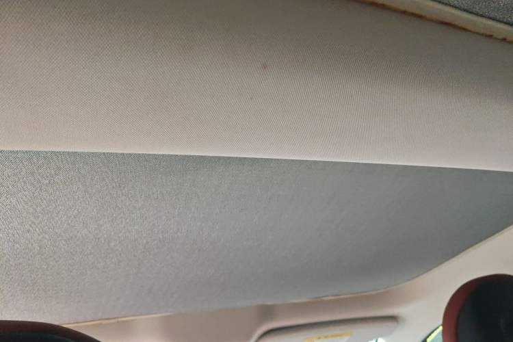 Used XPeng P7 2020 670N Headliner