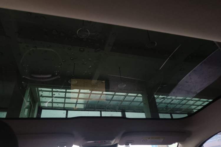 Used XPeng P7 2020 670N Headliner