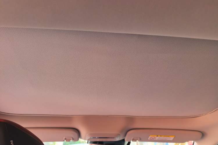 Used XPeng P7 2020 706G Headliner
