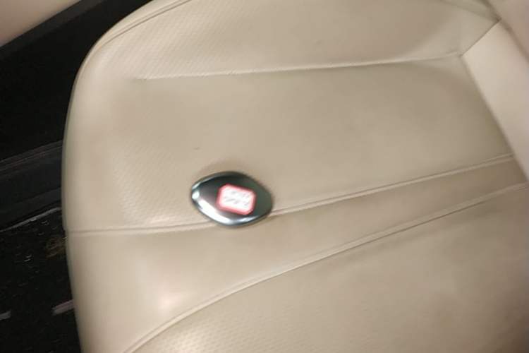Used XPeng P7 2020 586N Interior 1