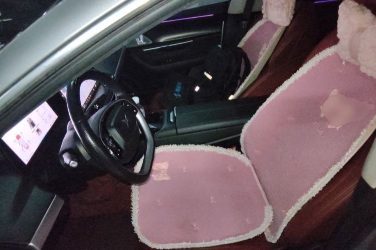 Used XPeng P7 2020 586N Left Front Seat